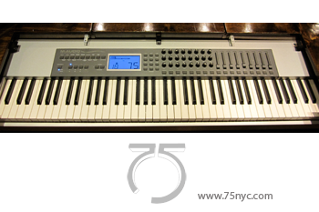 Enlarged view of image